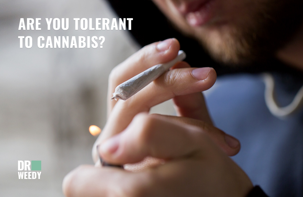 Are you tolerant to Cannabis? The right answer is no :)
