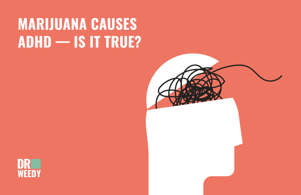 Marijuana Causes ADHD — Is It True?