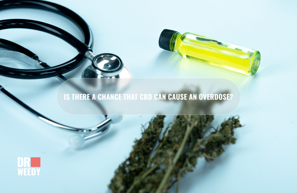 Is there a chance that CBD can cause an overdose? 