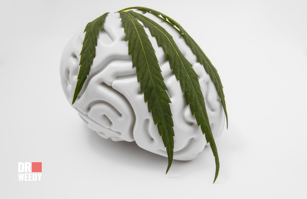Can Weed Help in ADHD Treatment?