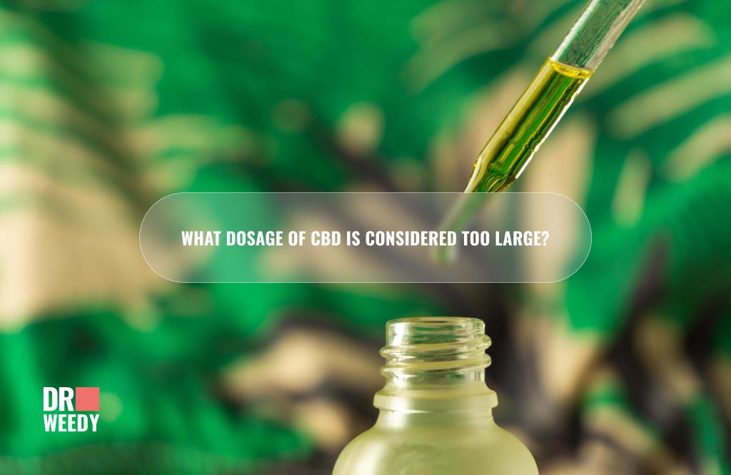 What dosage of CBD is considered too large?