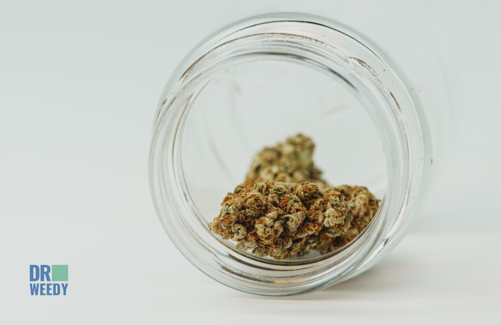Try strains with different THC-CBD ratio