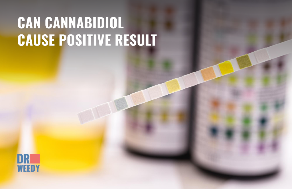 Can Cannabidiol Cause Positive Result