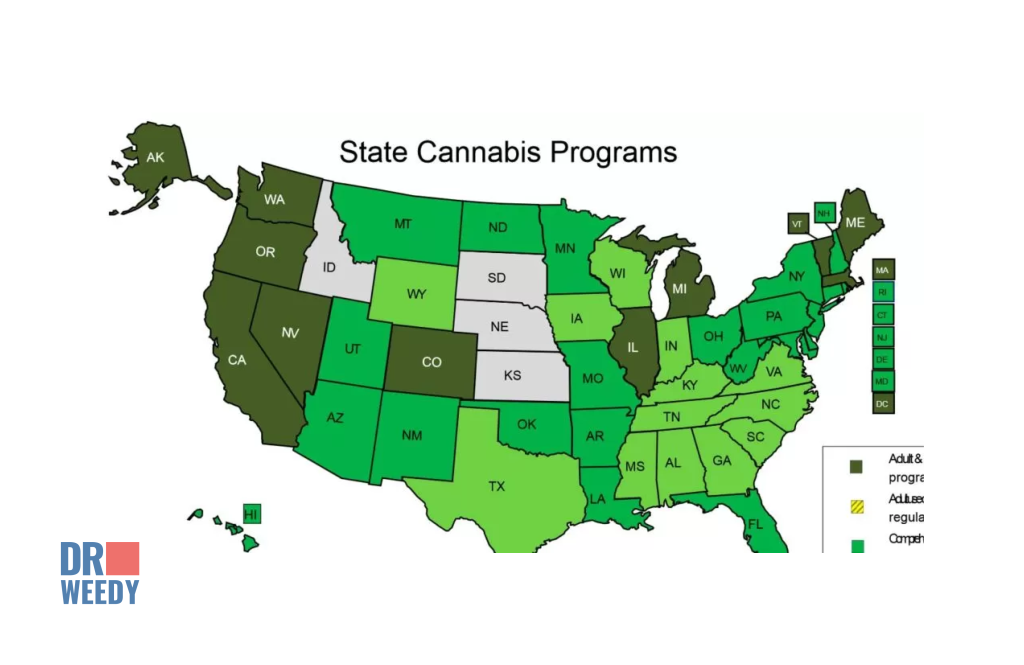 State-by-State Overview of CBD Age Restrictions in 2023