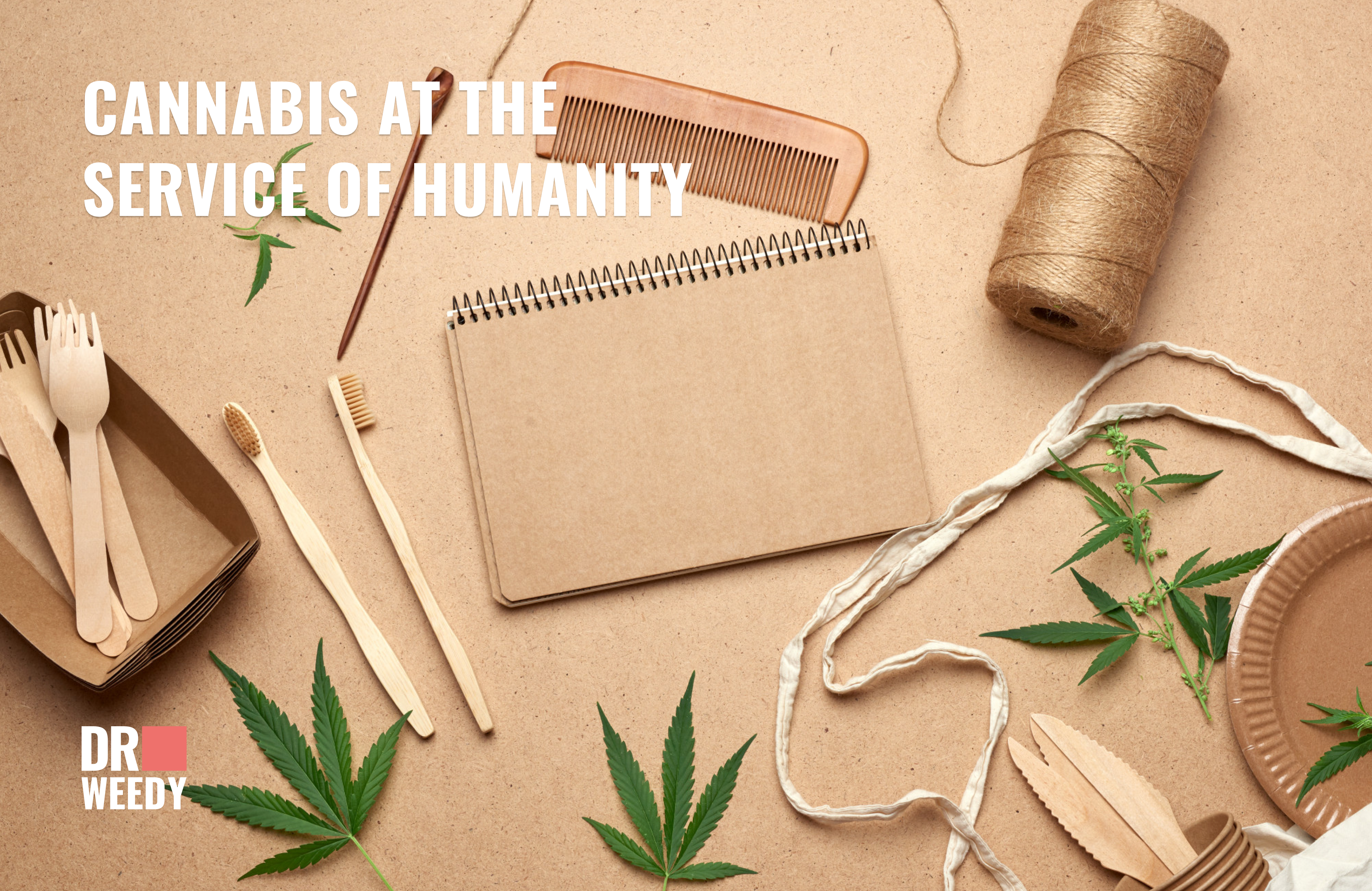 Cannabis At The Service Of Humanity