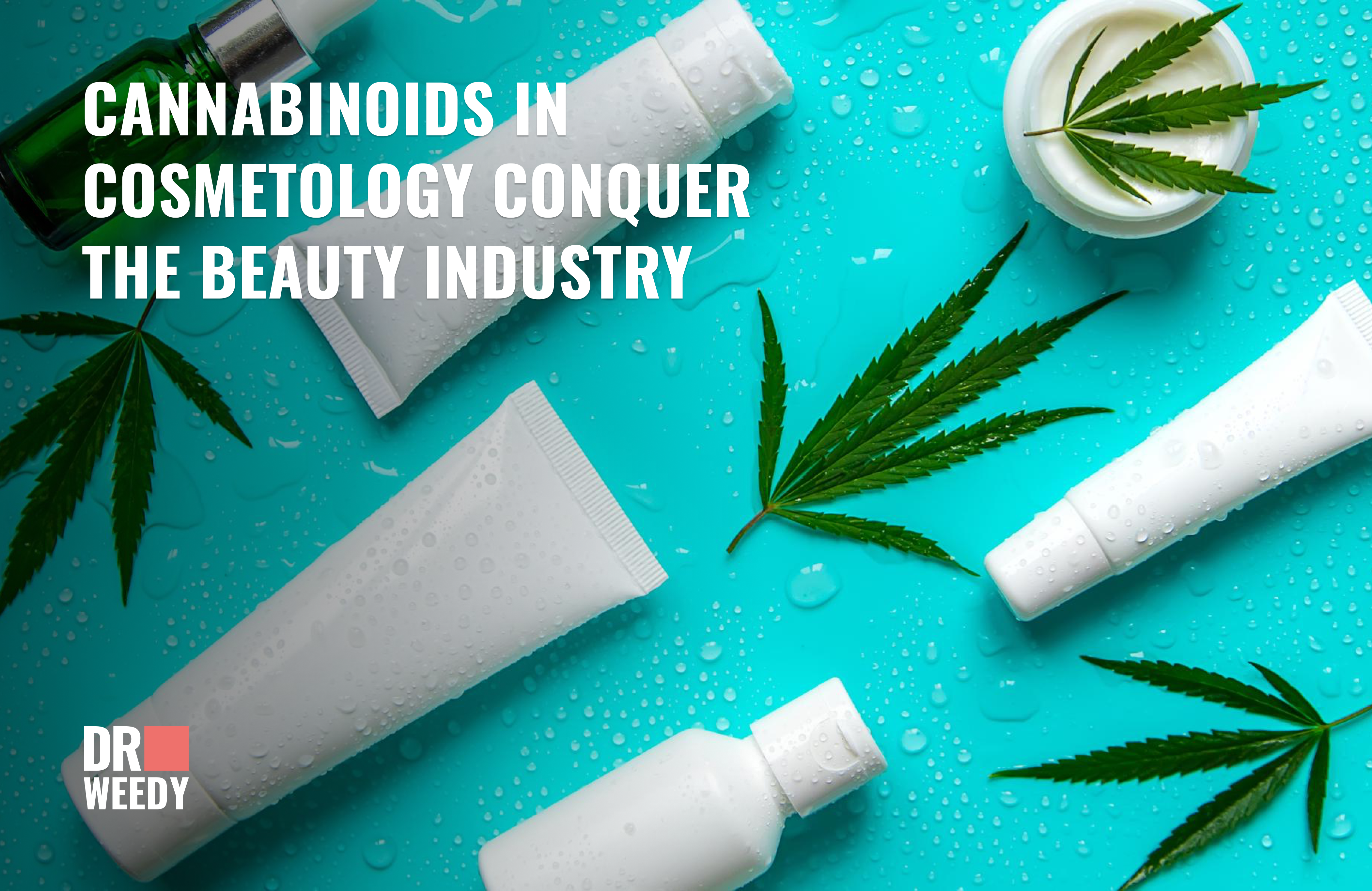 Cannabinoids in Cosmetology Conquer the Beauty Industry