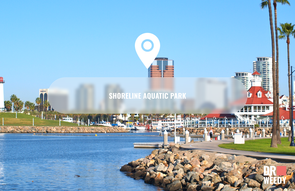 ShoreLine Aquatic Park