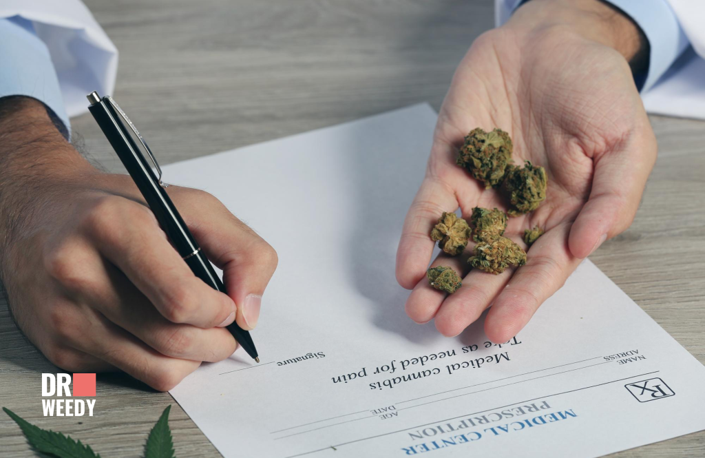 Best Places to Seek Advice and Treatment in the State When Using Medical Marijuana