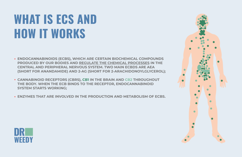 What Is ECS And How It Works