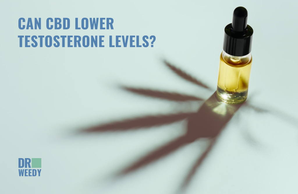 Can CBD lower testosterone levels? 