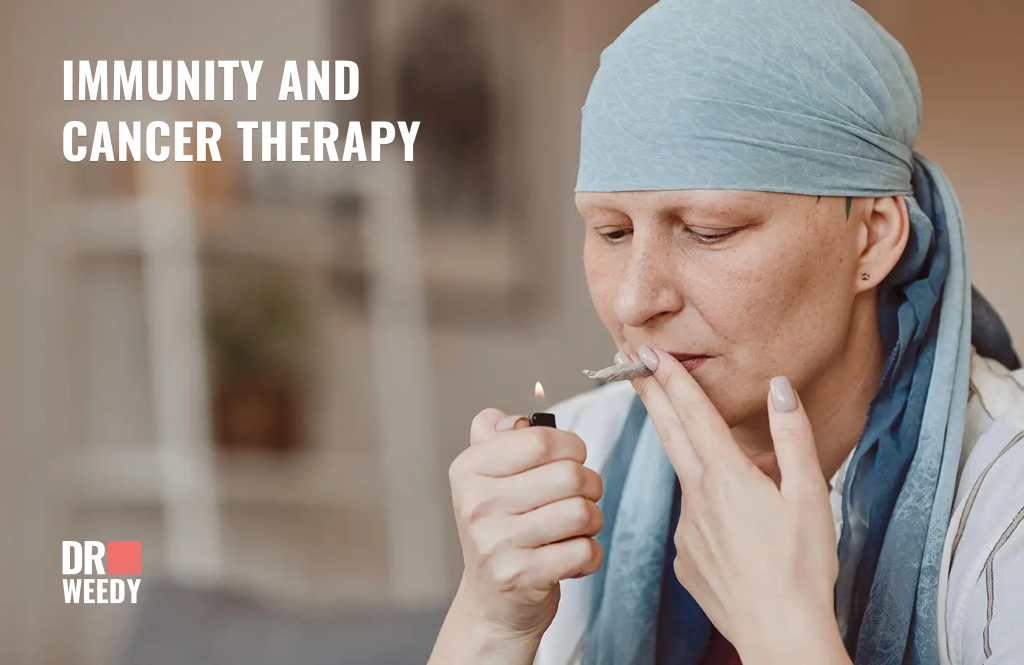 Immunity and cancer therapy