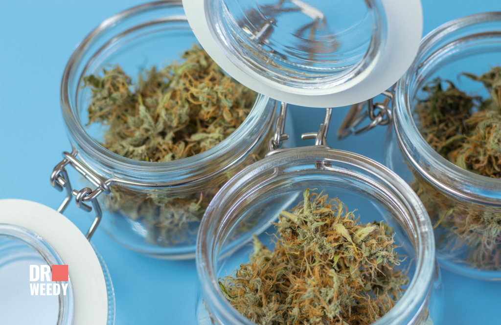 Cons of Marijuana Consumption in Treatment