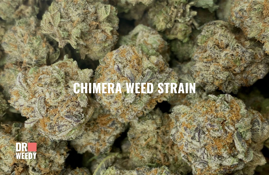 Chimera Weed Strain