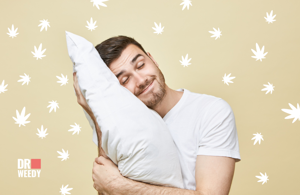 Cannabis: A Brief Understanding