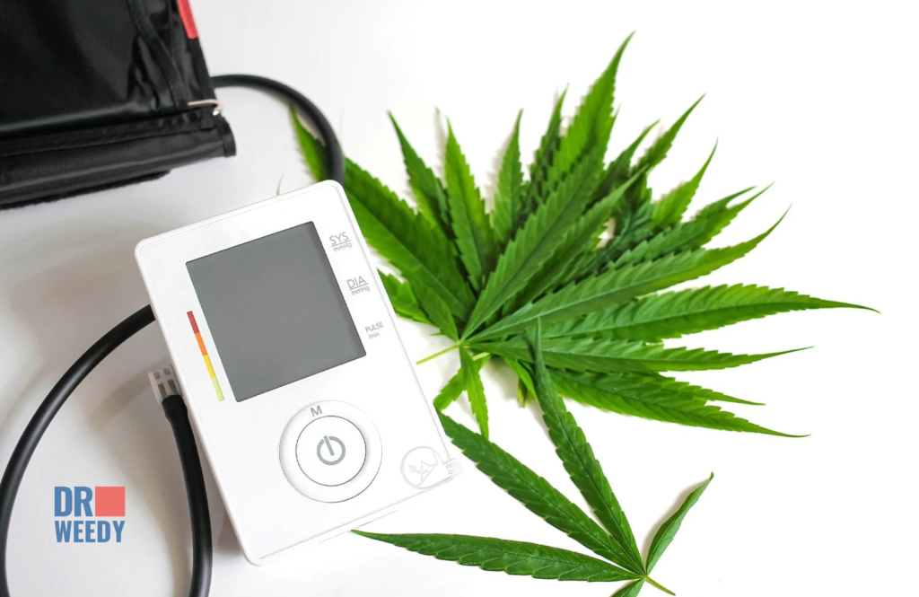 The Role of Cannabinoids in Blood Pressure Management