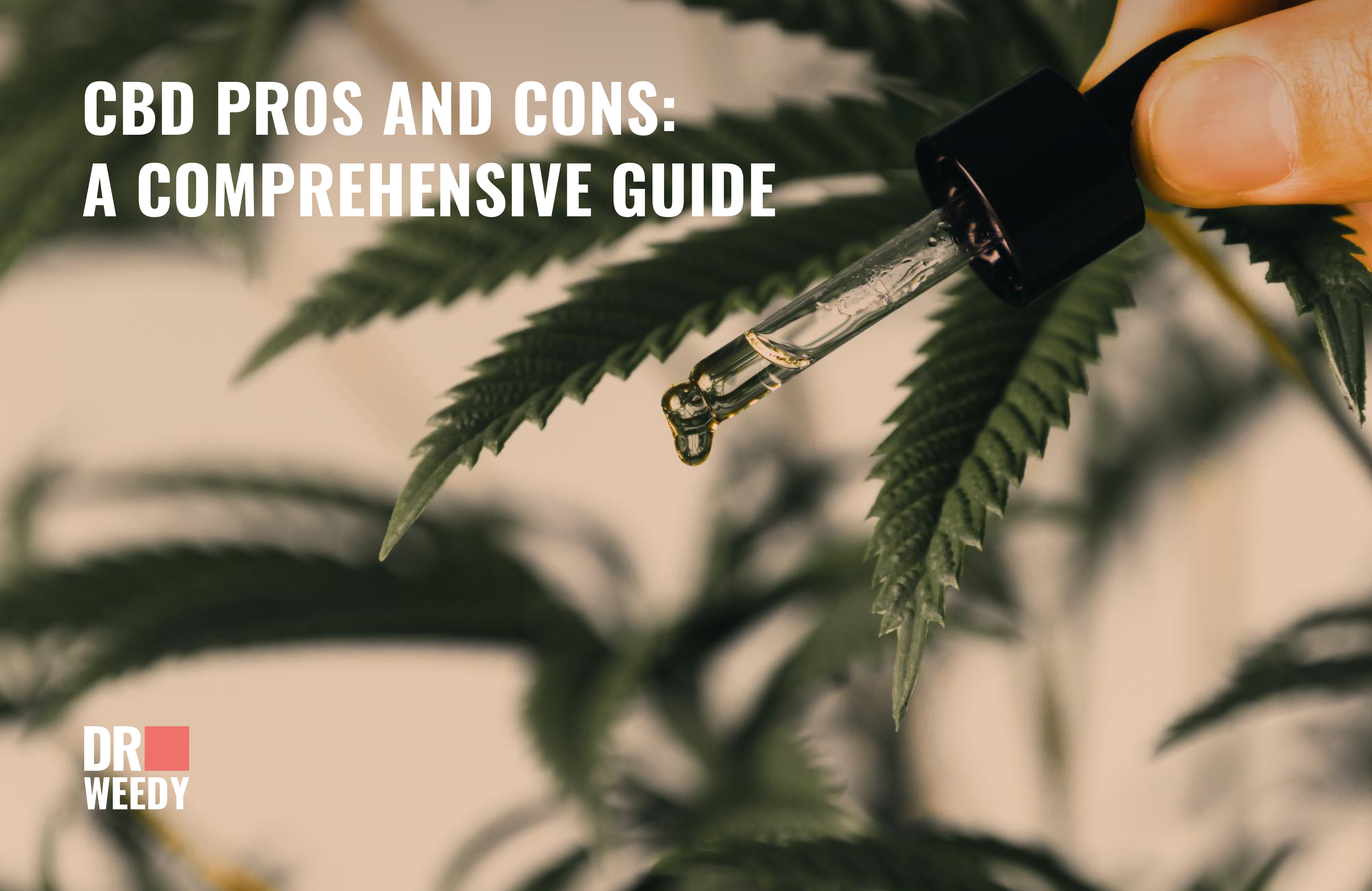 CBD Pros and Cons: A Comprehensive Guide