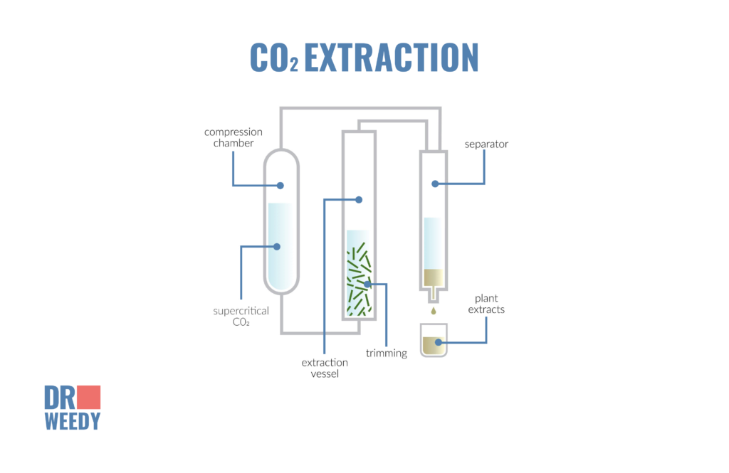 The Extraction Process: How CBD is Derived