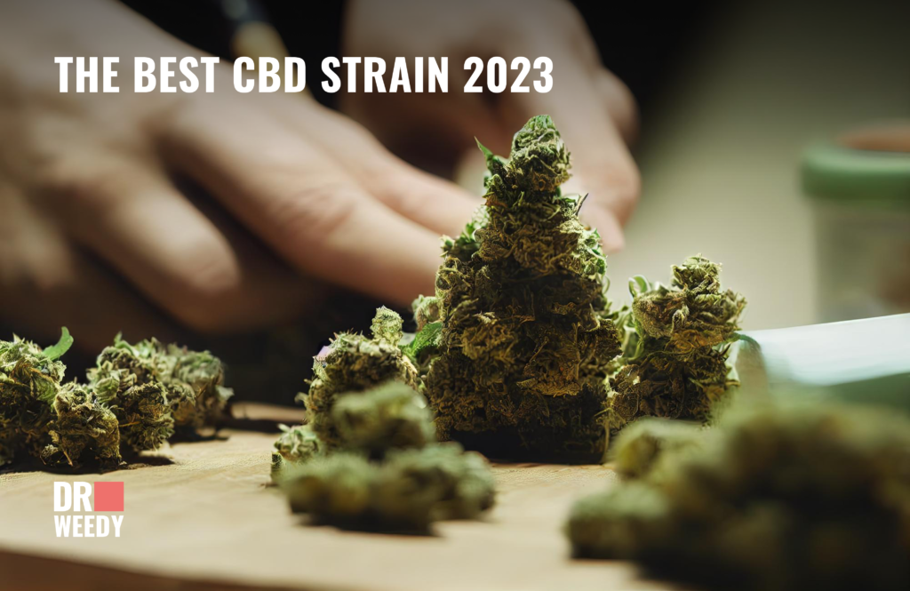 Reviewing Excellence The Top 12 CBD Strains of 2024