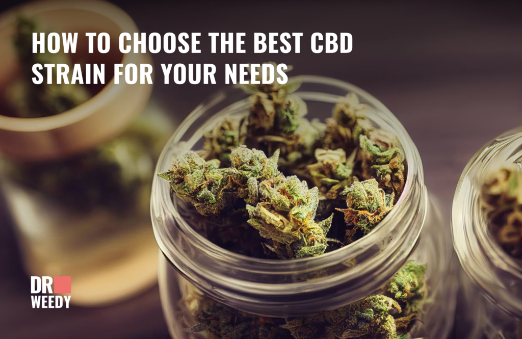 How To Choose The Best CBD Strain For Your Needs