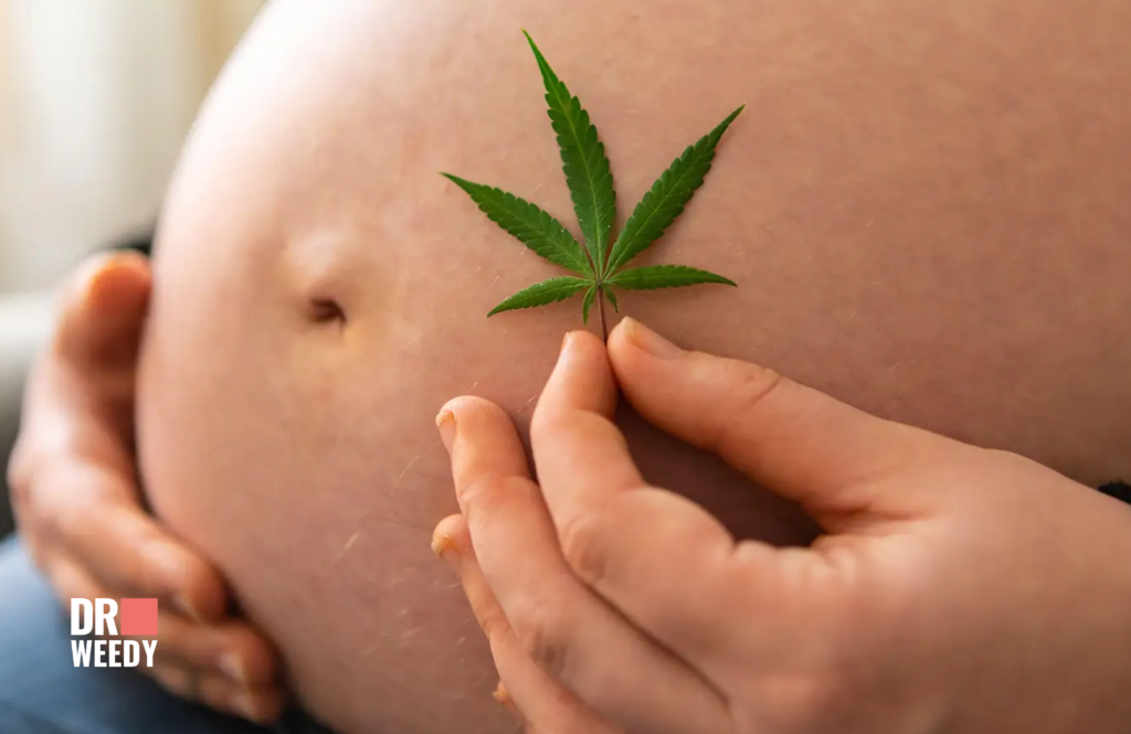 What do scientific studies say about marijuana use during pregnancy?