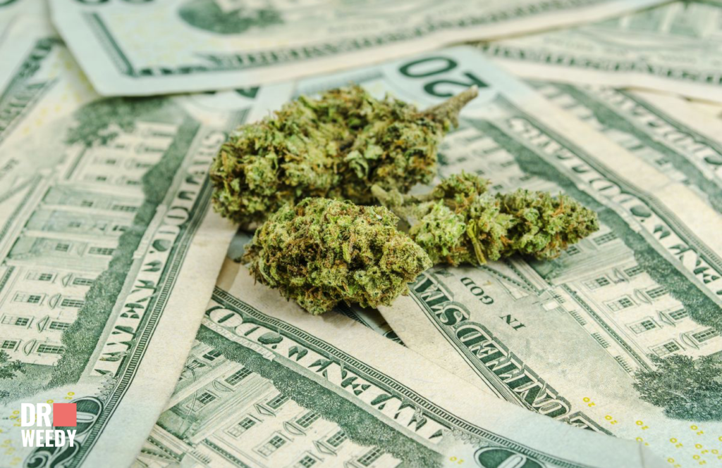 What does the government do with marijuana Taxes?
