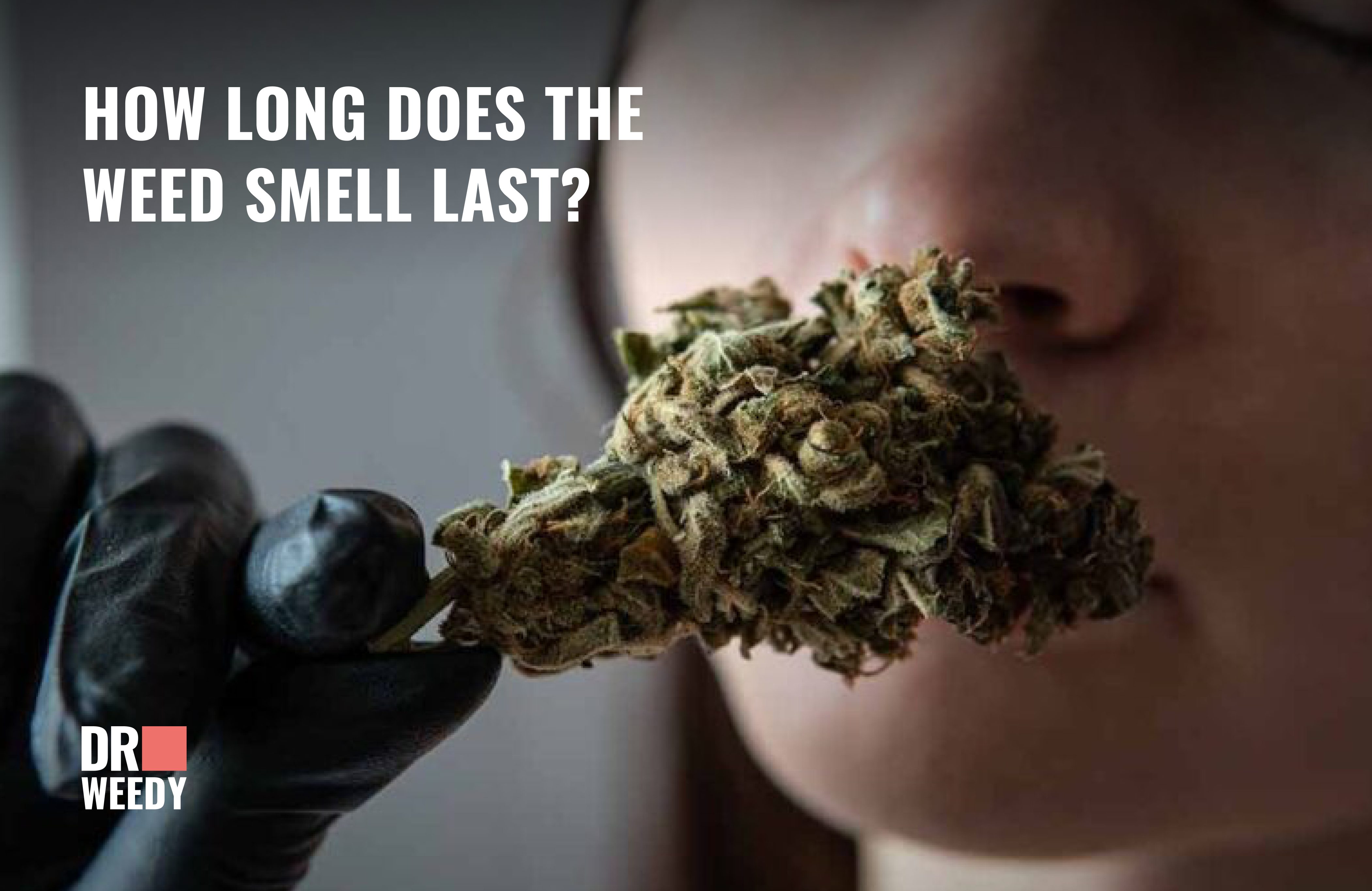 How Long Does The Weed Smell Last?