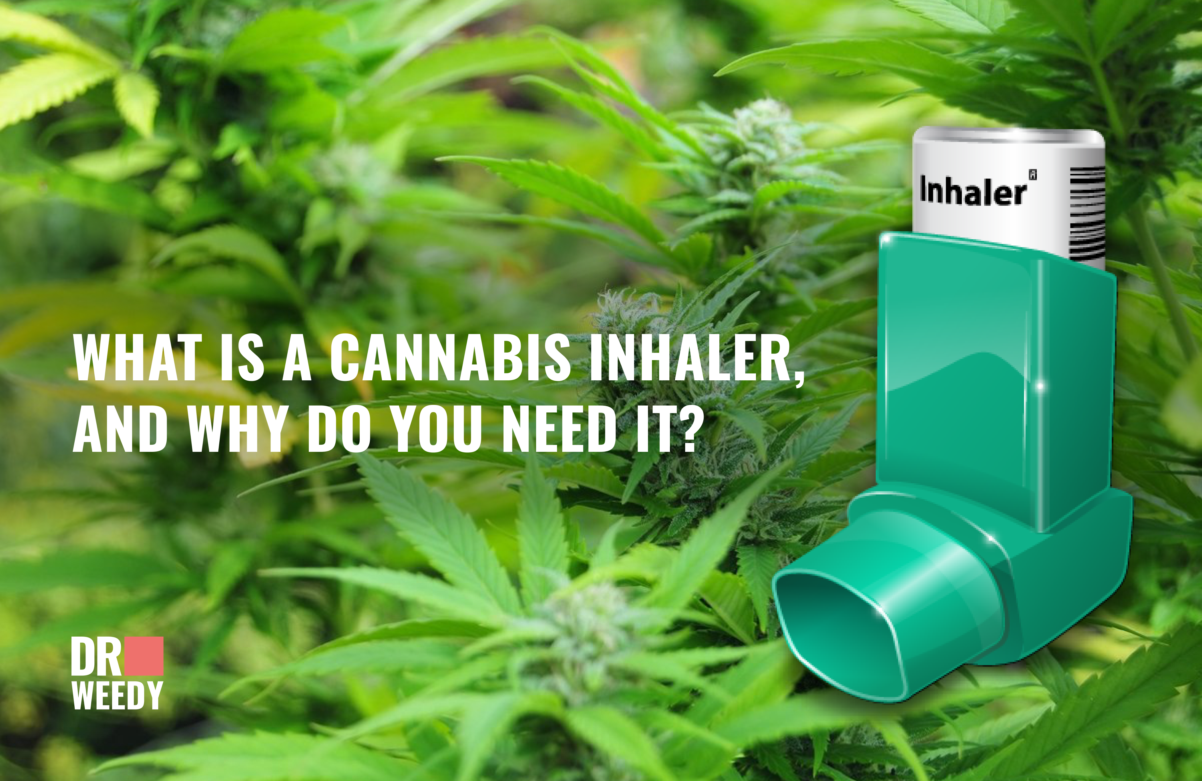 What Is A Cannabis Inhaler, And Why Do You Need It?