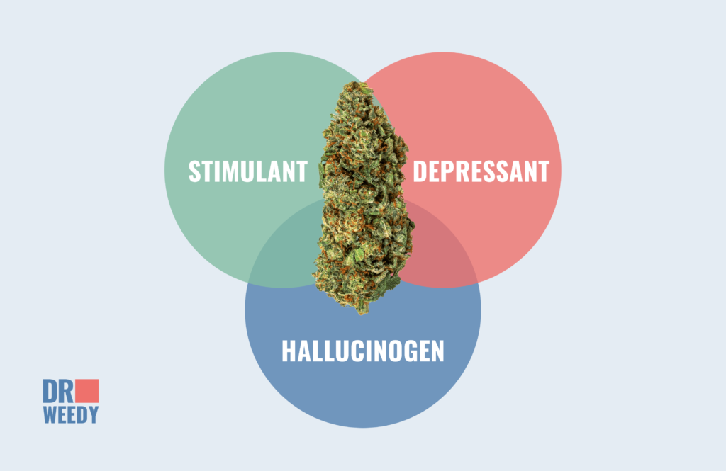So Is Cannabis a Depressant?
