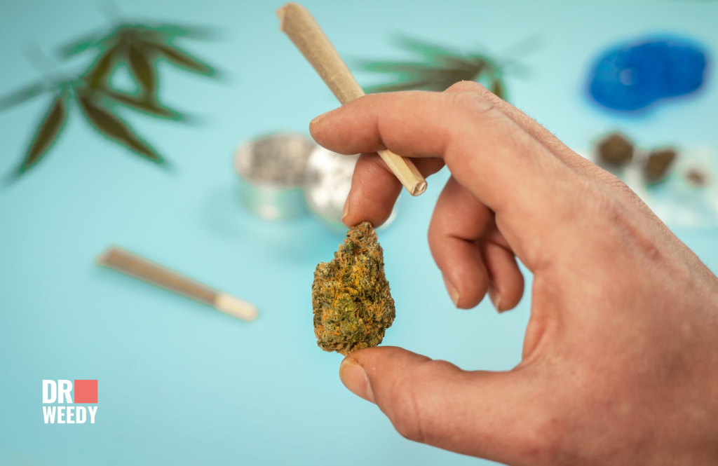 How to Choose Your Medical Marijuana Dose