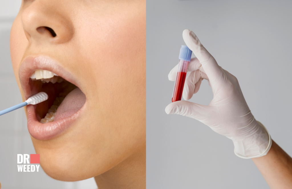 Mouth Swab vs. Blood Test for Marijuana
