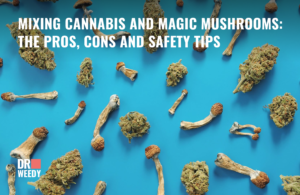 Mixing Cannabis and Magic Mushrooms: The Pros, Cons and Safety Tips