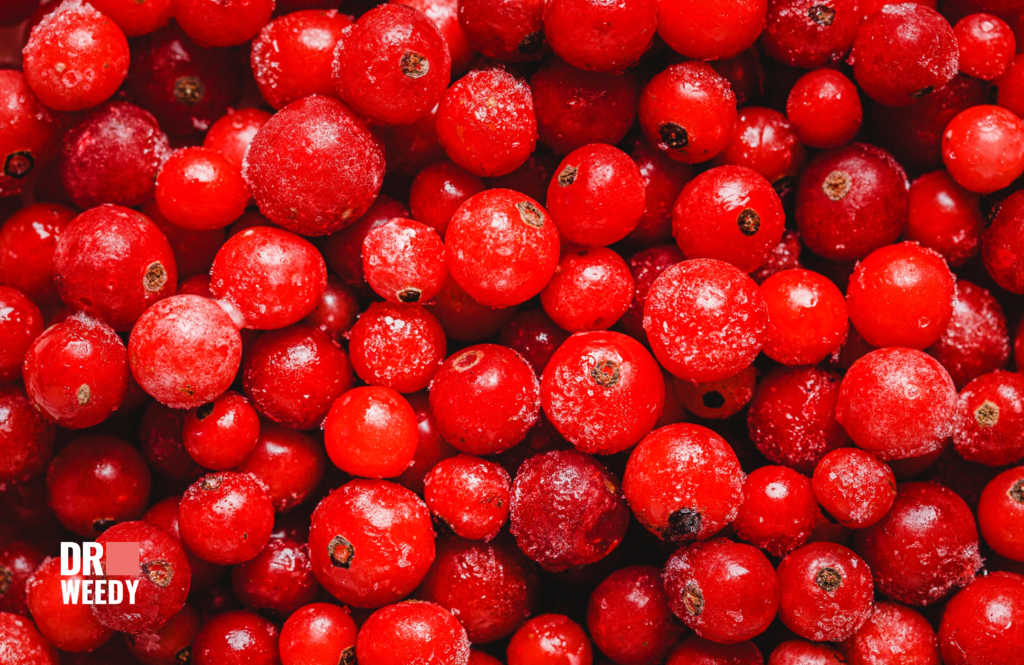 Why Cranberry Juice Is Thought to Help