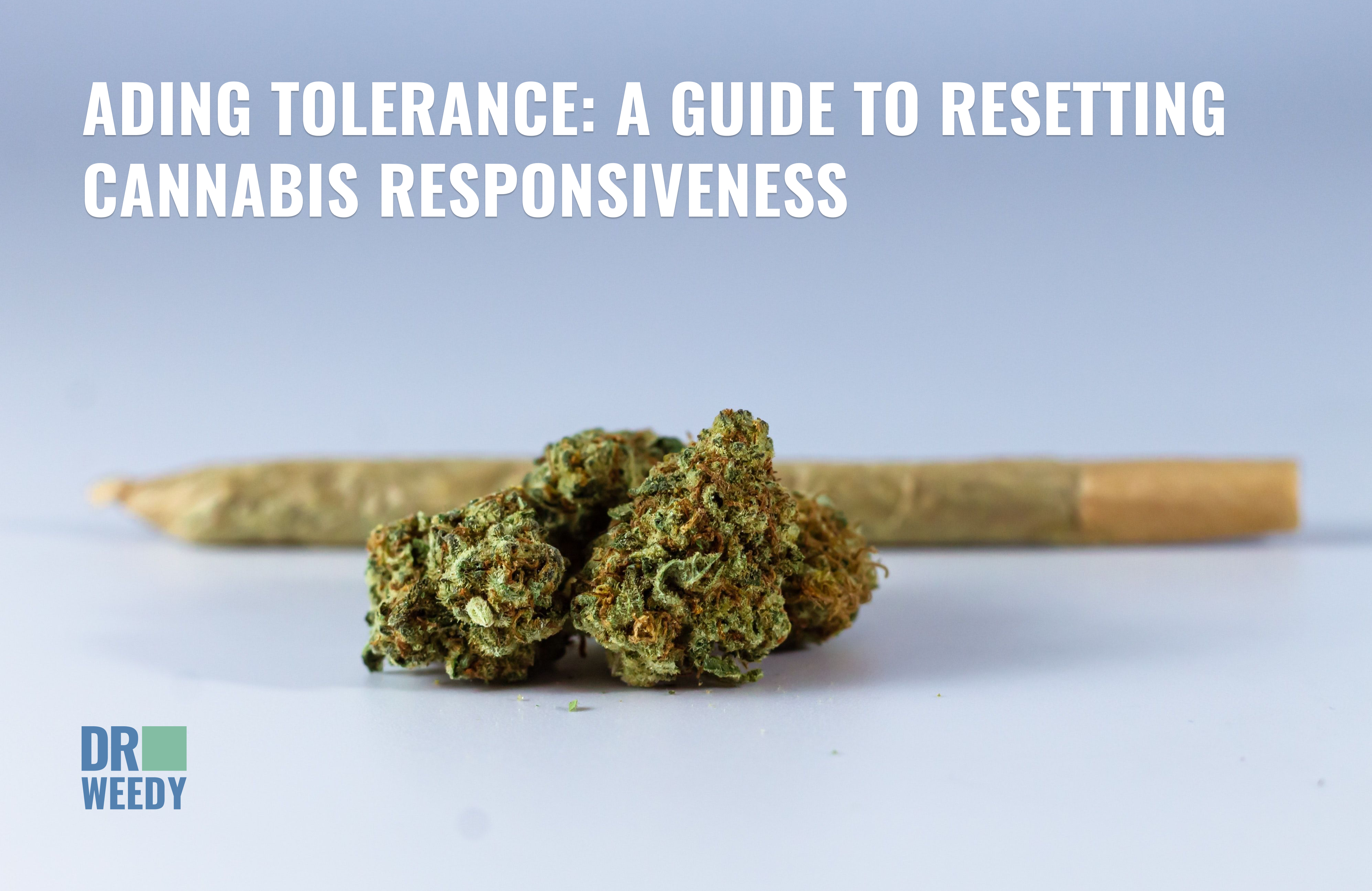 Fading Tolerance: A Guide to Resetting Cannabis Responsiveness