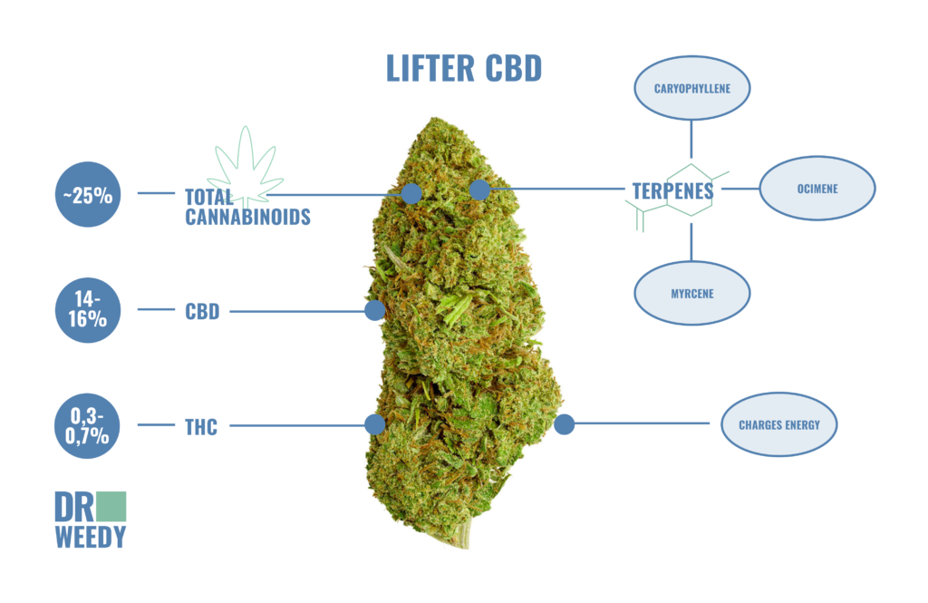 Cannabinoid Profile and Potency Analysis of Lifter CBD Cannabis Strain