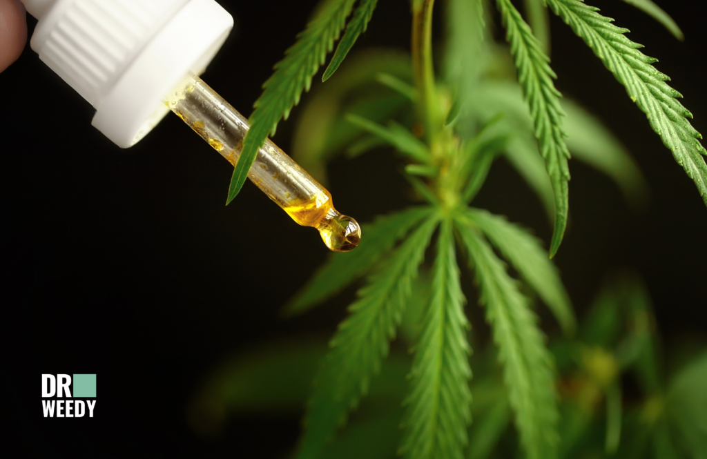 What is CBD Oil and How Does it Work?