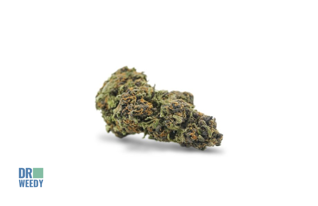 Medical Uses for Boax Strain