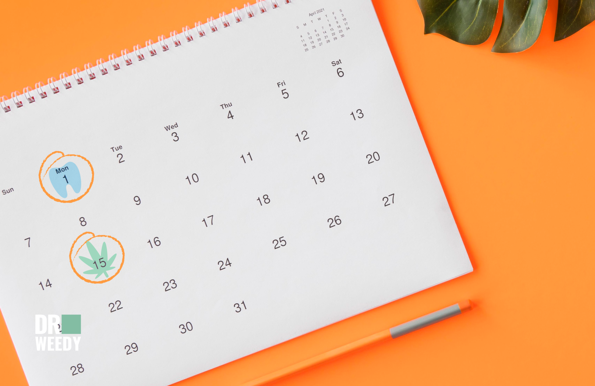 Can You Smoke Weed After a Root Canal? Guidelines & Considerations