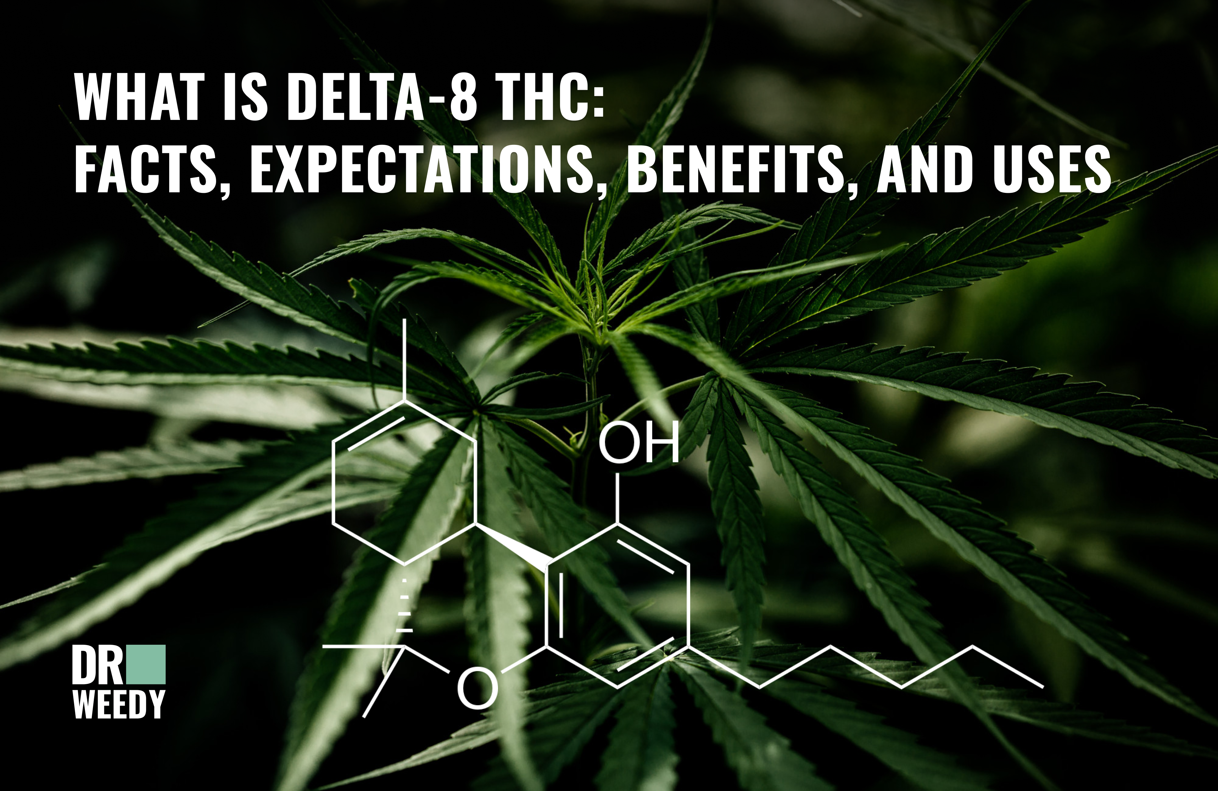 What is Delta-8 THC: Facts, Expectations, Benefits, and Uses
