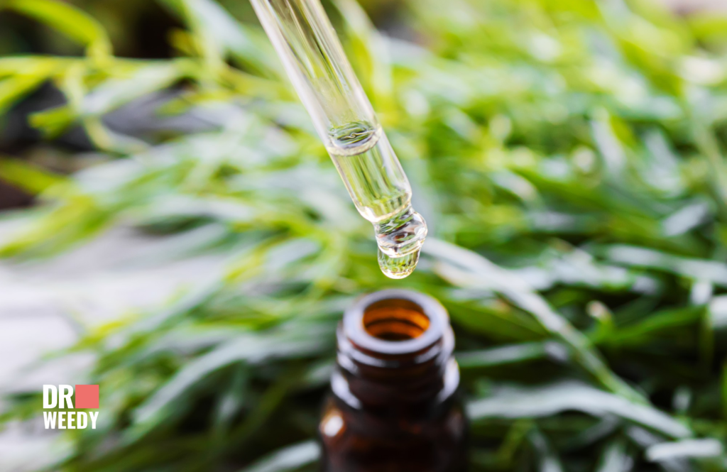 Choosing Your Ingredients: Strains, Carrier Oils, Terpenes and More