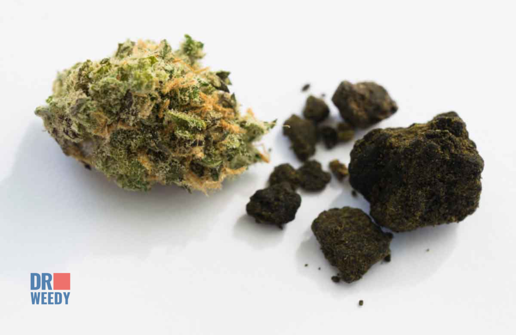 The Future of CBD Hash and Cannabis Extracts