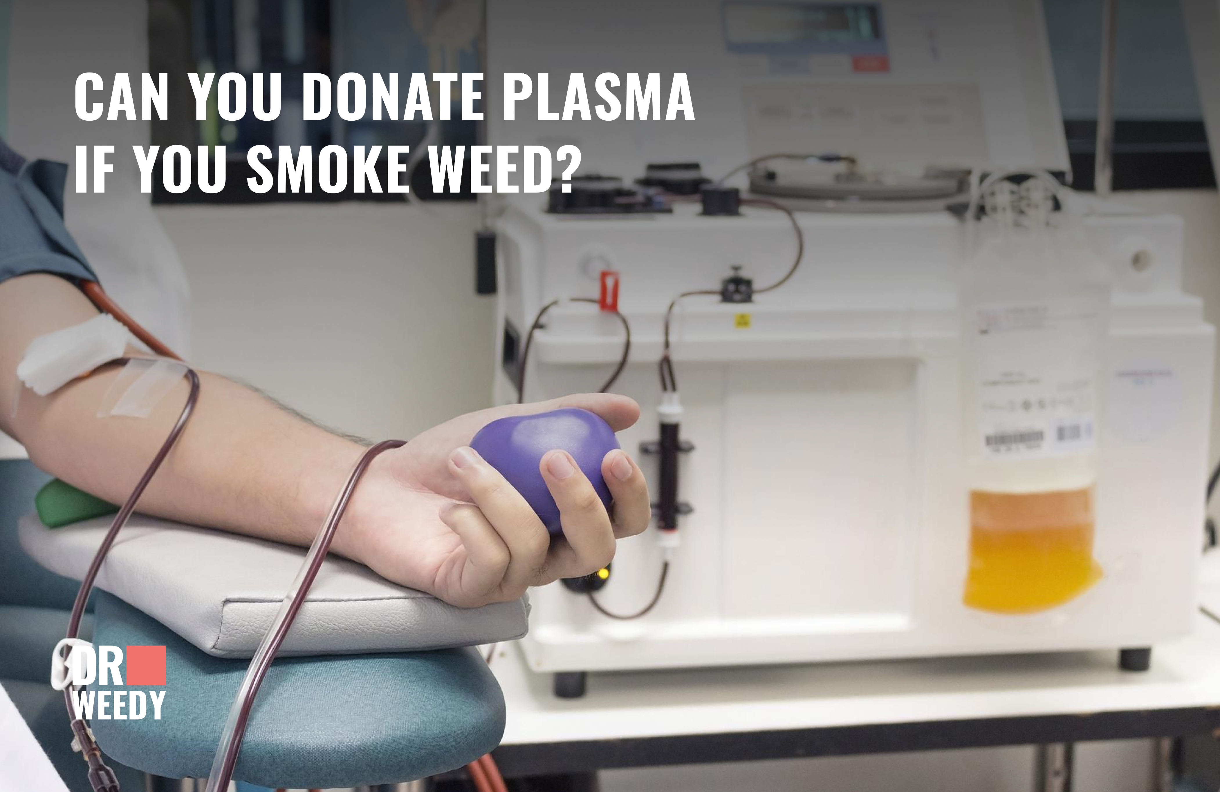 Can You Donate Plasma If You Smoke Weed?