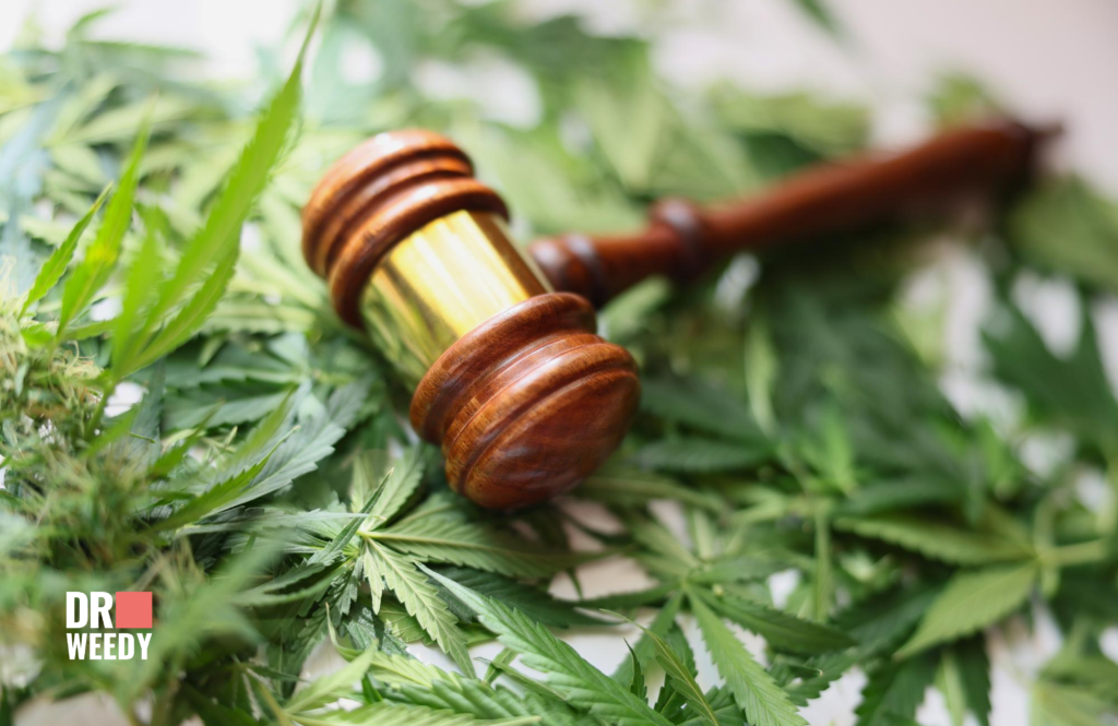 Ohio Marijuana Laws: 2024 Updates