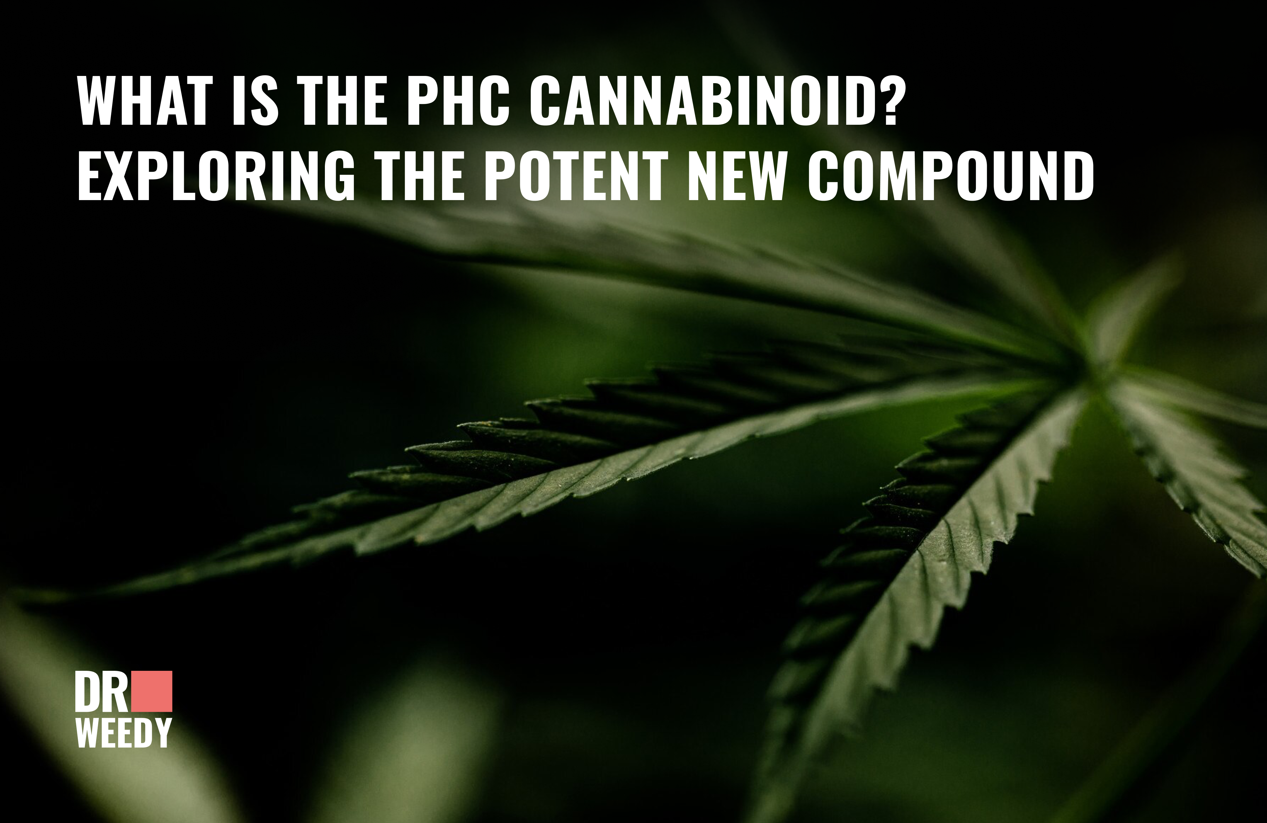 What is the PHC Cannabinoid? Exploring the Potent New Compound