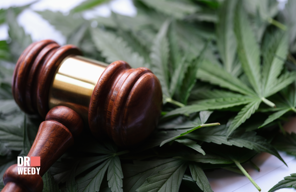 Legal Complexities: Federal vs. Local Laws in Ohio's Marijuana Realm